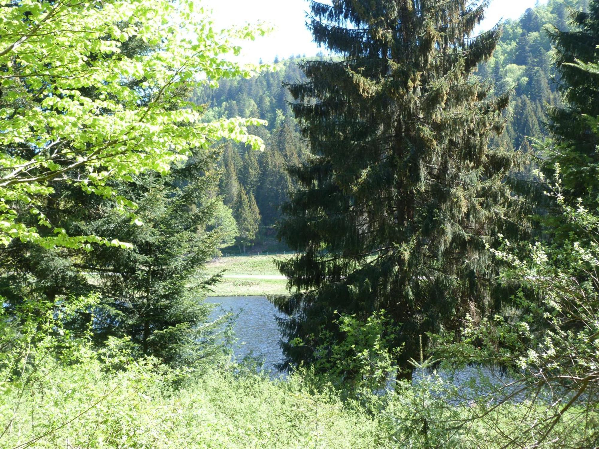 Domaine Des Hauts Viaux La Bresse Exterior photo