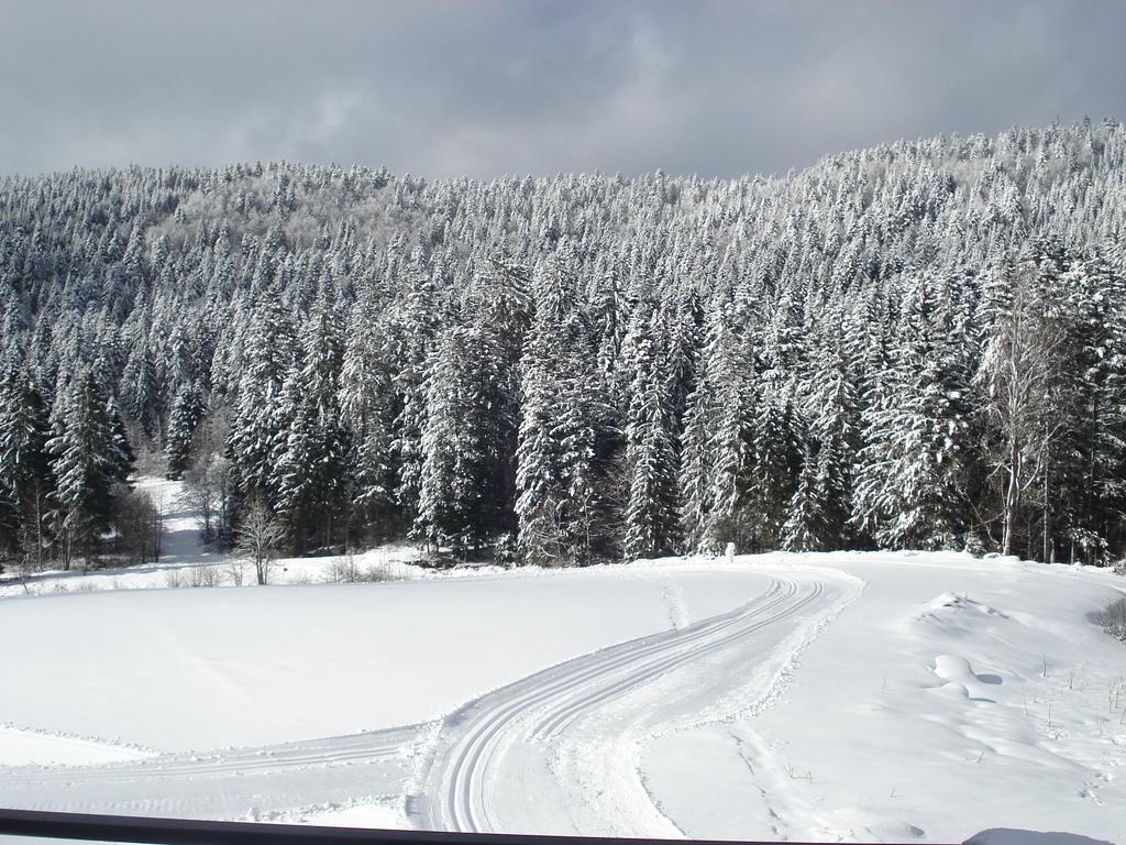 Domaine Des Hauts Viaux La Bresse Exterior photo