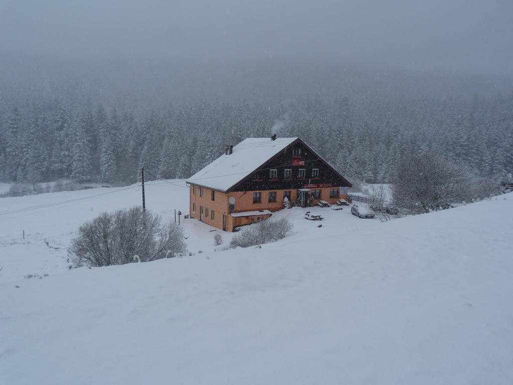 Domaine Des Hauts Viaux La Bresse Exterior photo